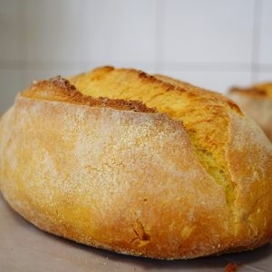 Pane